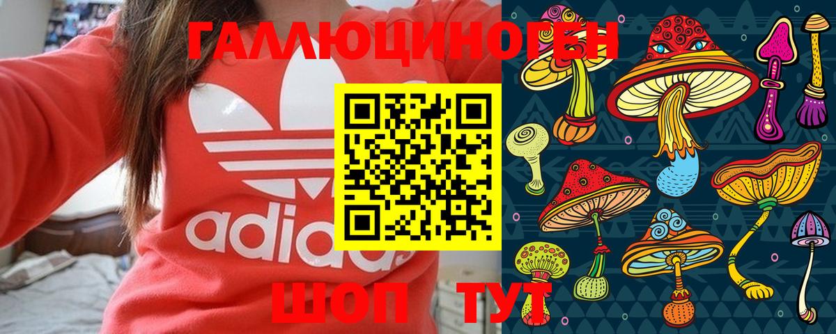 Волжский  Галлюциногенные грибы Magic Shrooms  Вход с VPN 