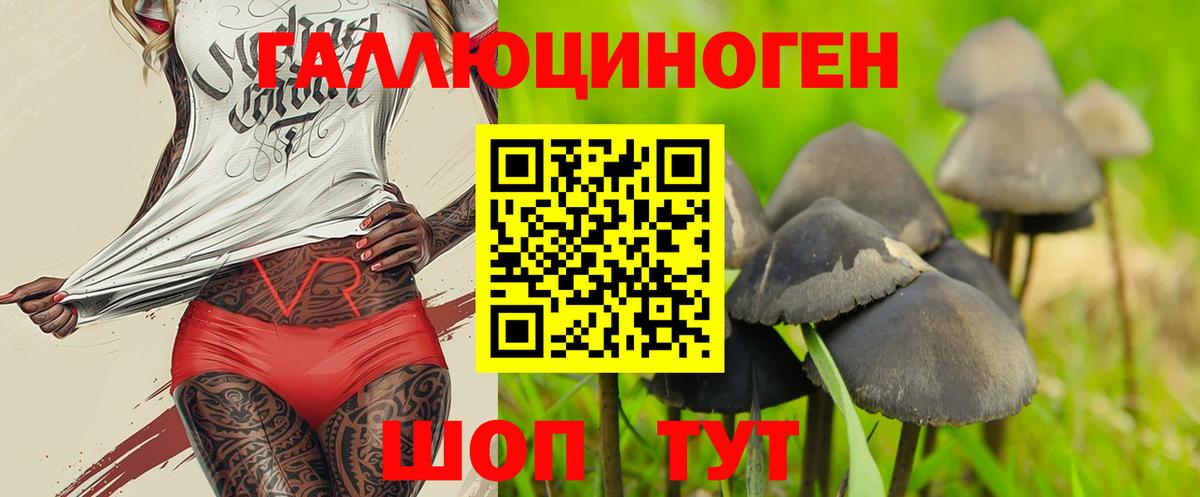 Галлюциногенные грибы Magic Shrooms Волжский