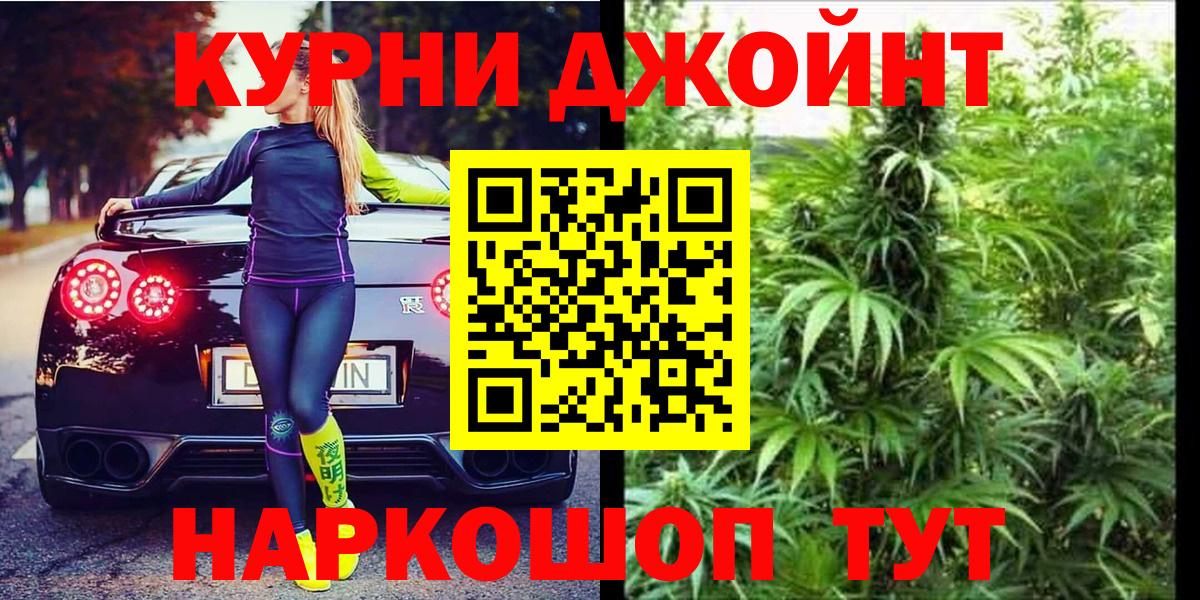 Конопля гибрид Волжский